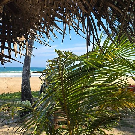 Talalla Beach Bungalows المظهر الخارجي الصورة